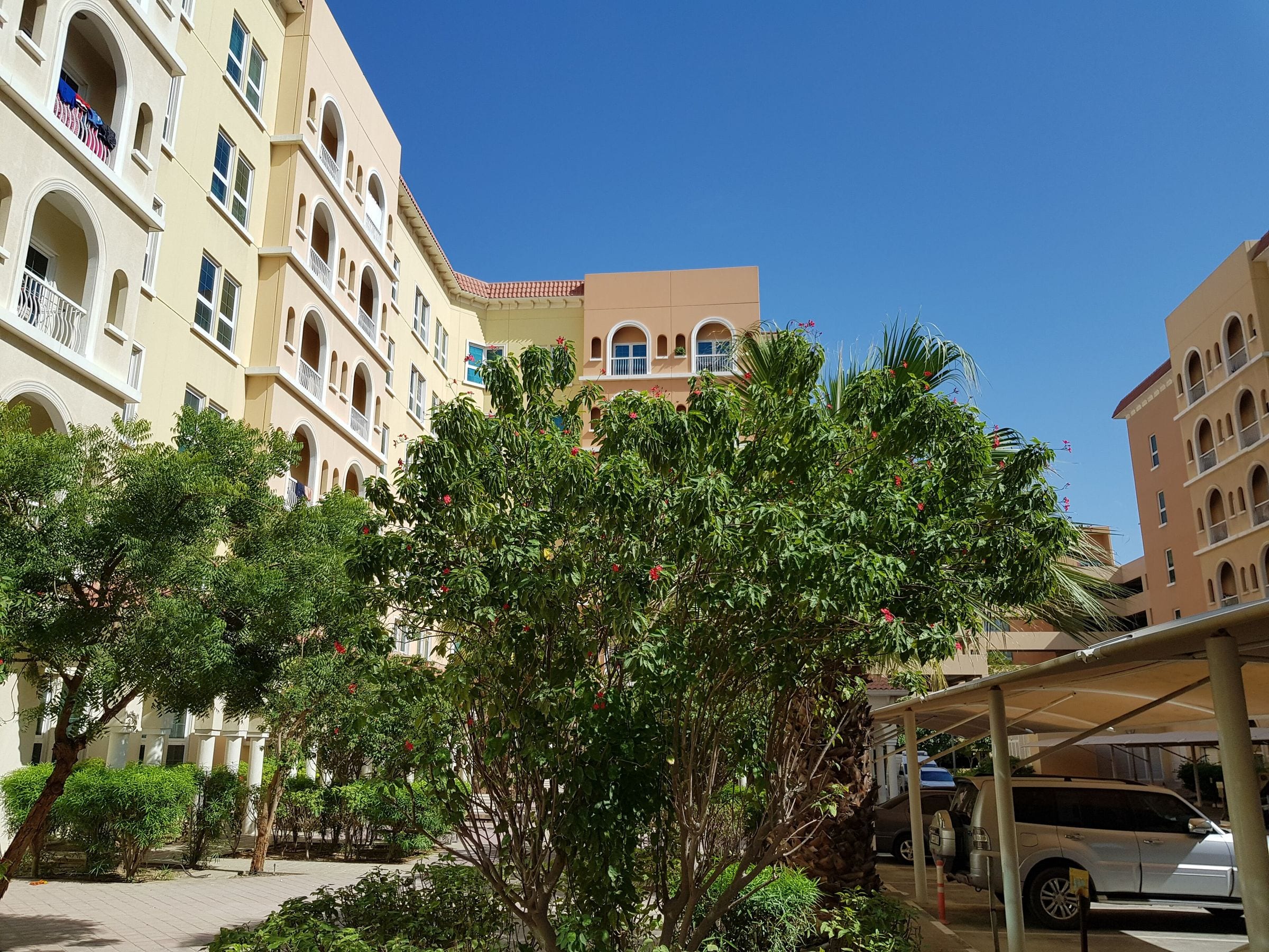 Low-rise apartment blocks and trees in Green Community, Dubai Investment Park