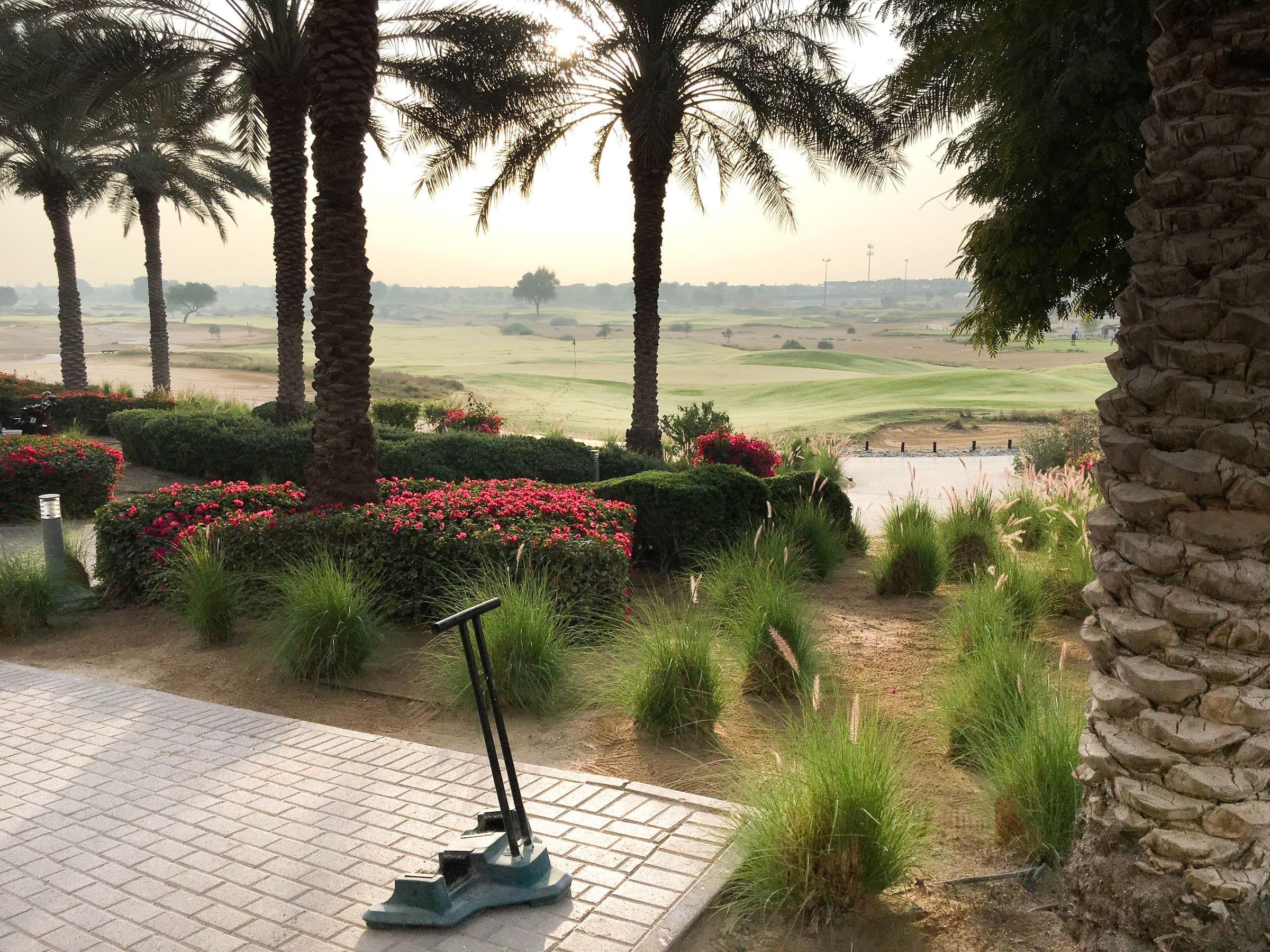 Fairways and palm trees on the Arabian Ranches golf course