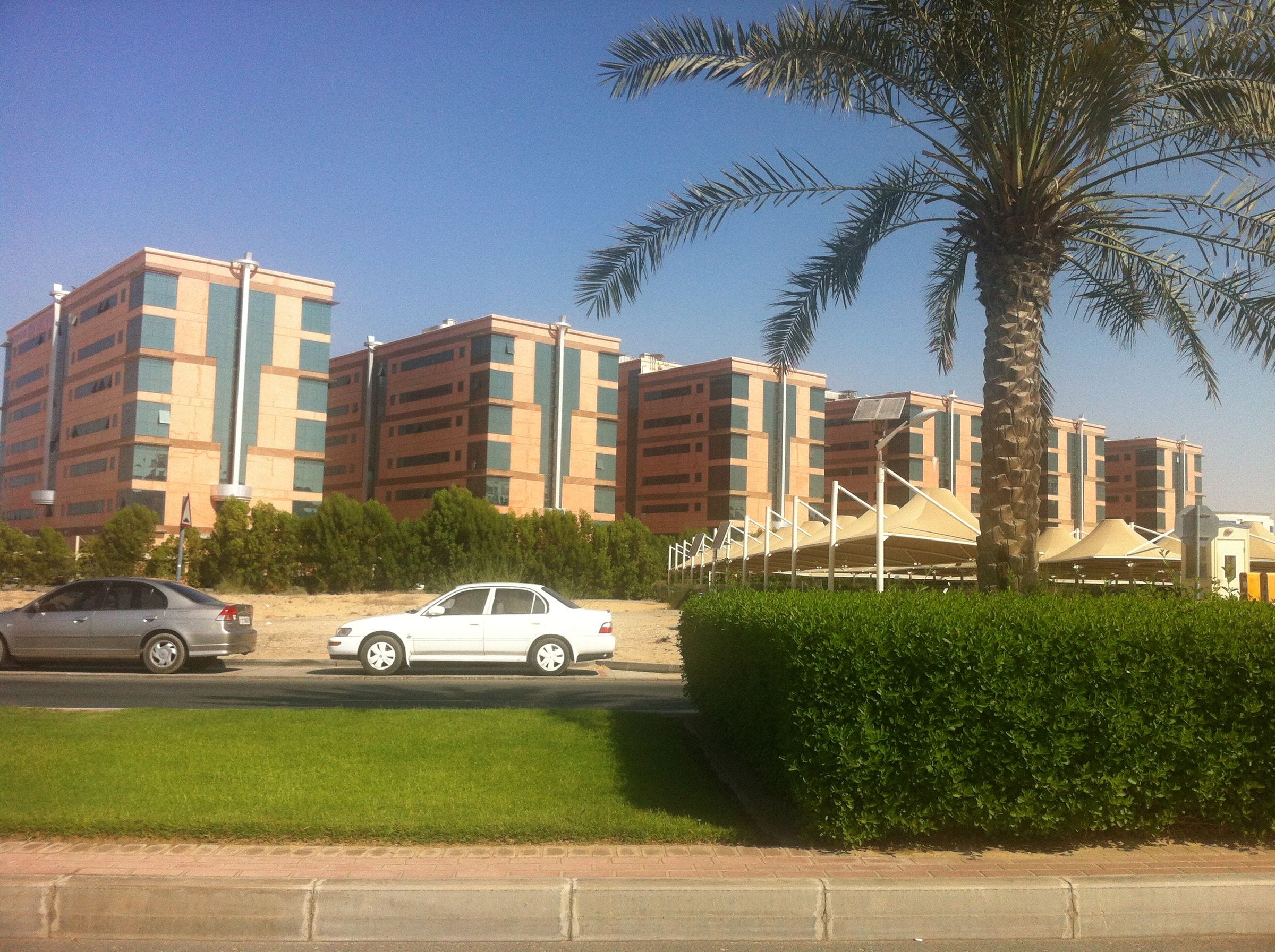 Mid-rise apartment blocks and palm trees in Dubai Academic City, beside Dubai Silicon Oasis